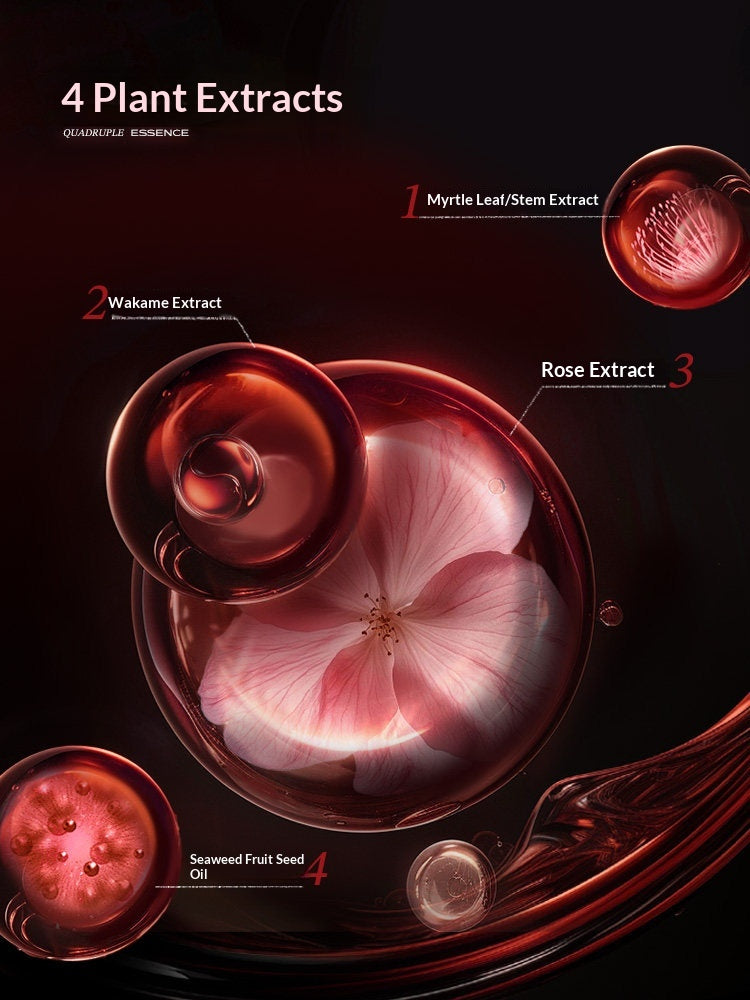 Close-up detail of the littleondine Tomie Velvet Liquid Lip Mousse formula, highlighting its key botanical extracts for a comfortable, nourishing wear.